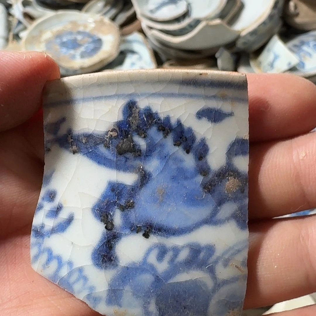瓷片瓷片标本，顺丰包邮