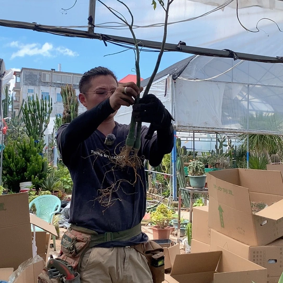 毒线蔓一颗量拍1111