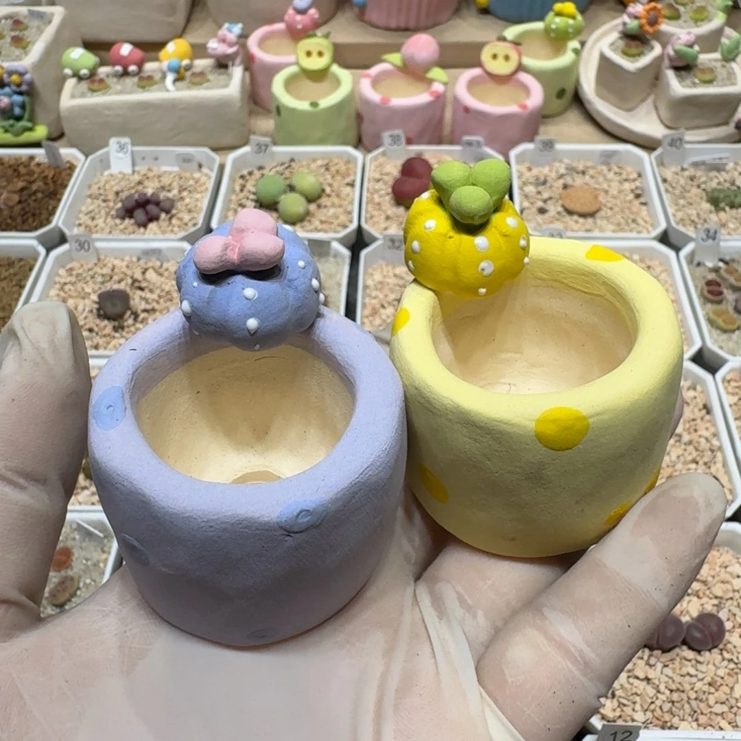 咖****0710.92盆盆盆盆盆盆