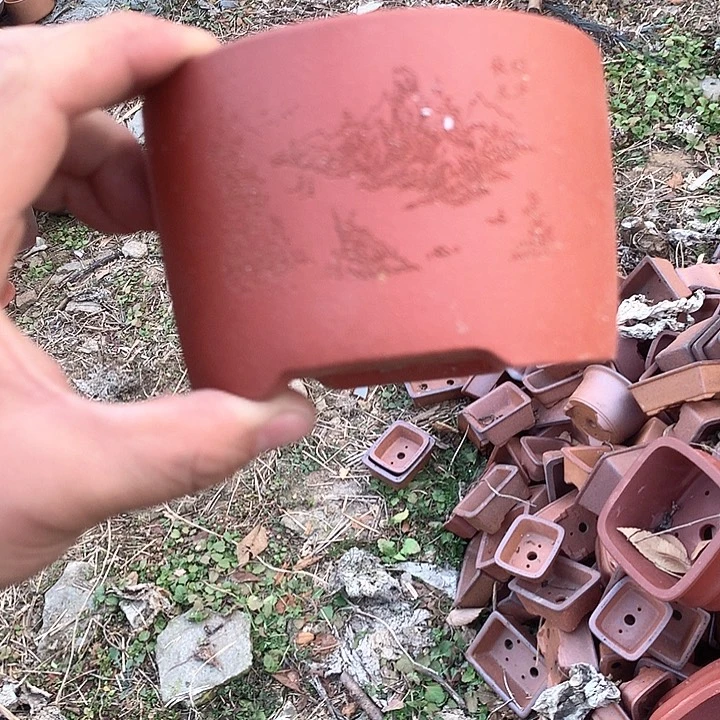 紫砂你要的是我不需要