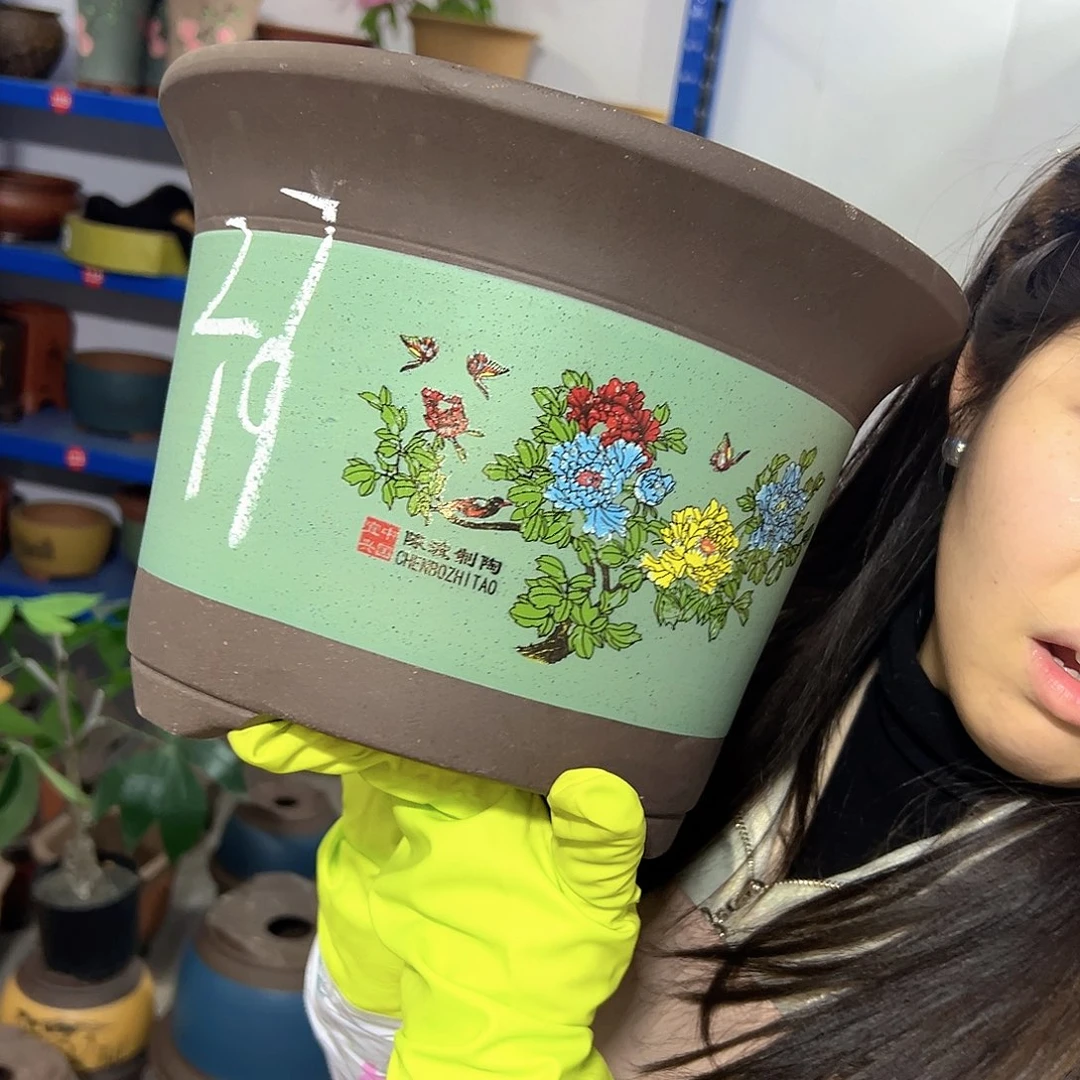 陈波金钟绿色大号一个