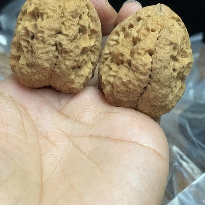 木质类云南铁核桃基地67