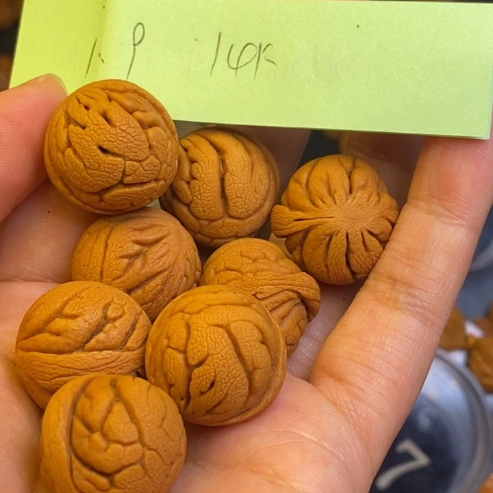 桃核吊坠秦岭龙纹桃核22