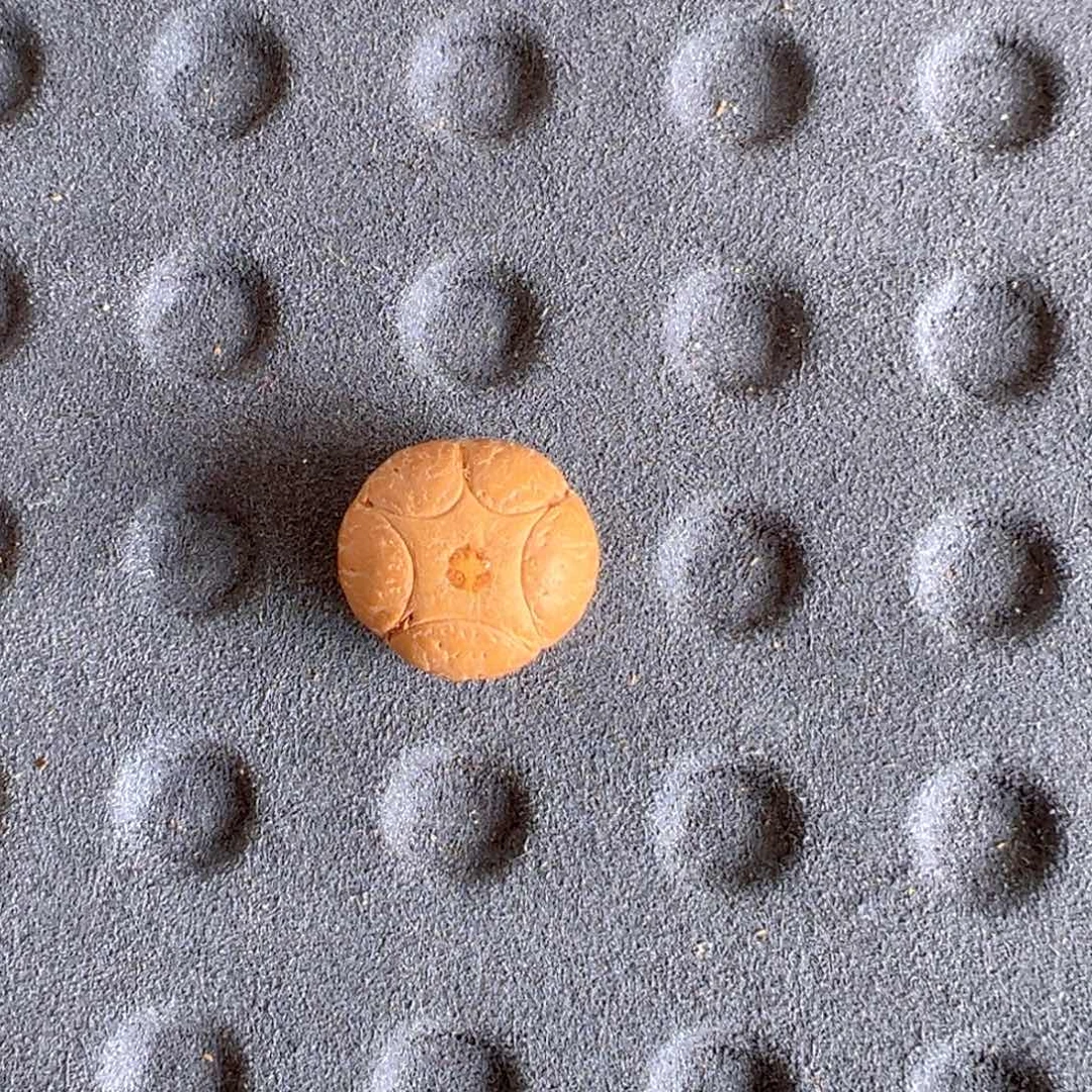 怀***落手串凤眼菩提17mm 五星单颗90@0968