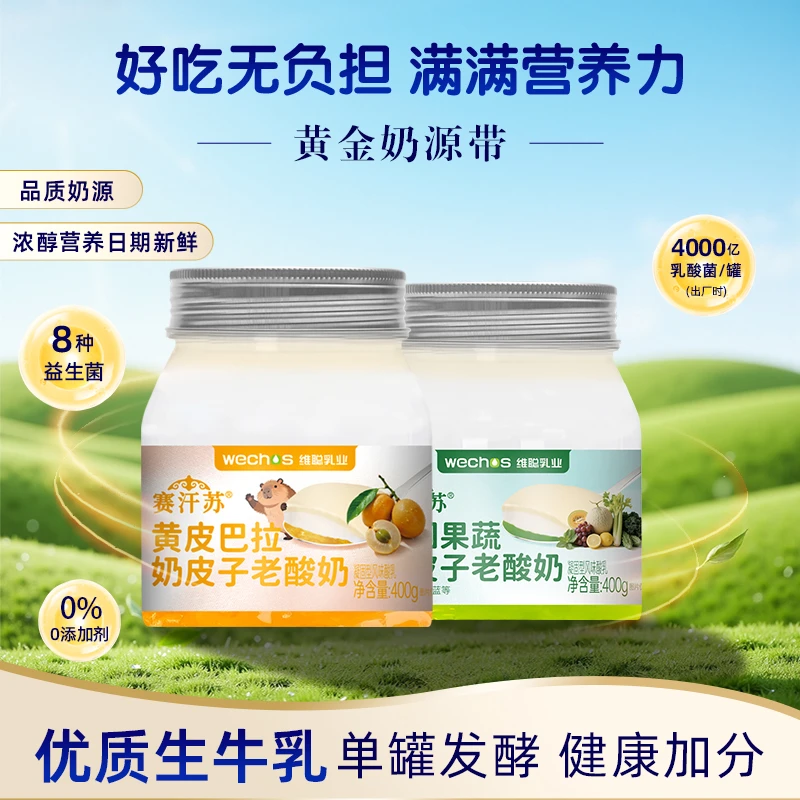 赛汗苏果味果蔬黄皮巴拉奶皮子酸奶网红蒙古特产400g小罐装酸奶