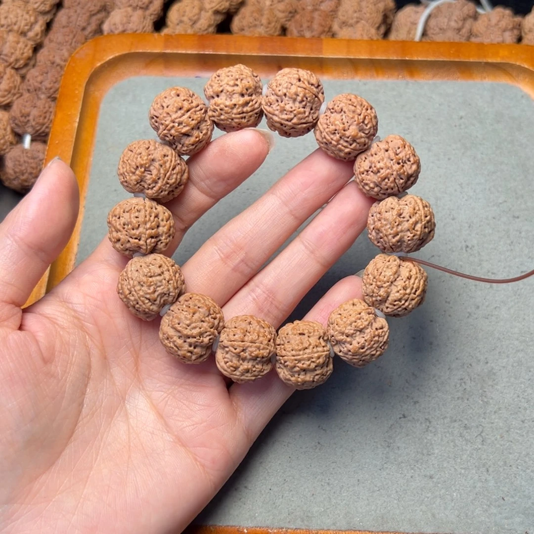 菩提╮**╭30号金刚菩提蜂王20