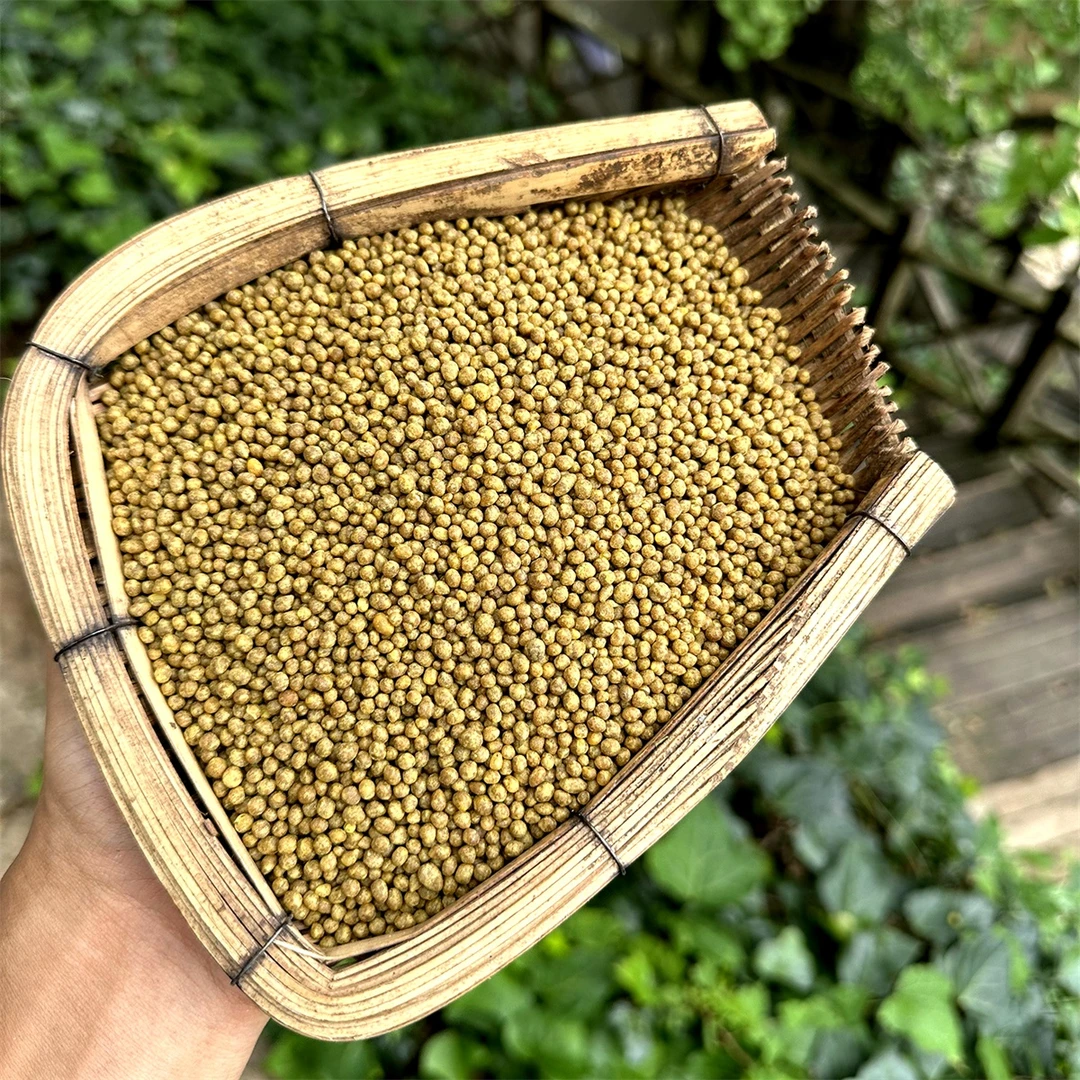 【竹海甘书记助农】苦荞饭纯荞麦米软糯乔饭杂粮苦荞疙瘩粗粮荞麦饭