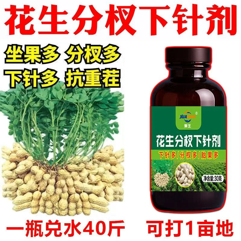花生分杈下针剂花生生根壮苗液长破天叶面肥膨大素花生高产粒粒饱