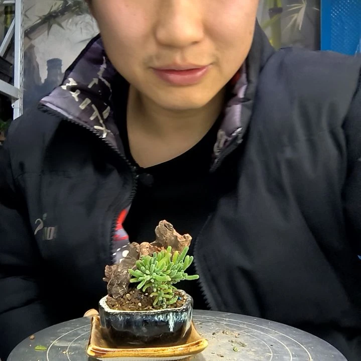 J*?中青园艺一物一拍花429