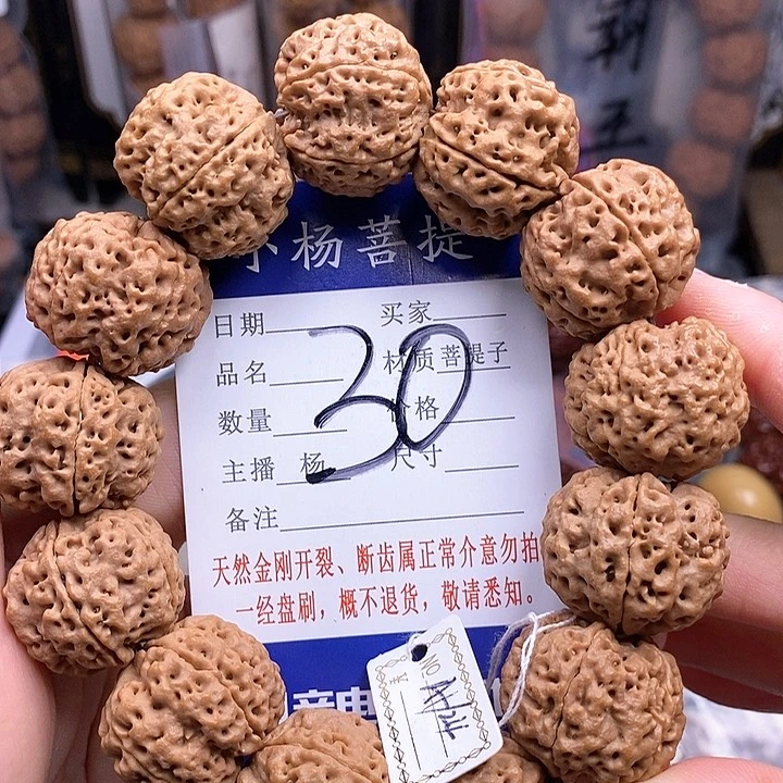 金刚菩提手串24铁骨双龙