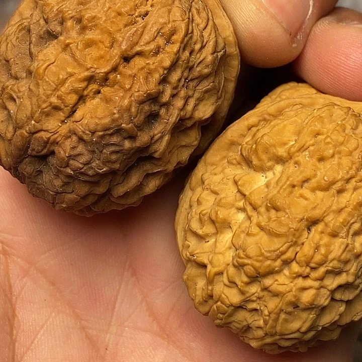 文玩核桃把件云南铁核桃16