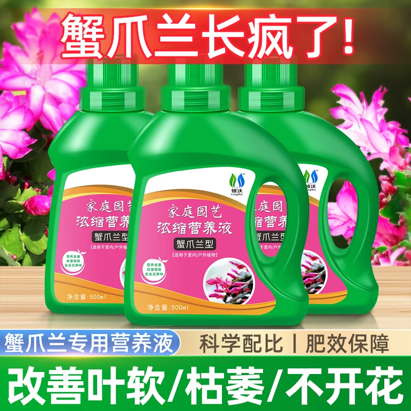 蟹爪兰专用营养液肥料室内盆栽催花爆花肥蟹爪兰开花专用肥营养液