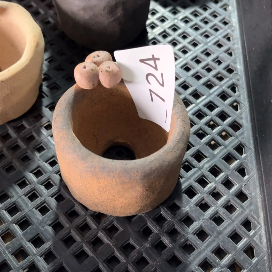 红陶伴**然724花盆1个