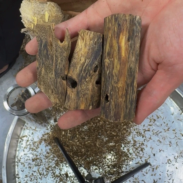 沉香碎屑沉香奇楠沉香30克