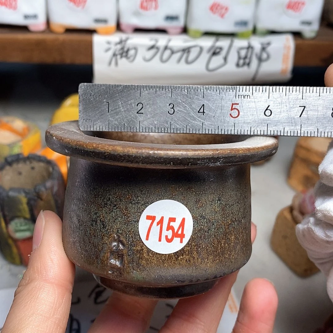 红陶拍5送一个小