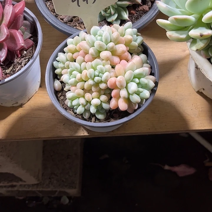 00000000000000000945