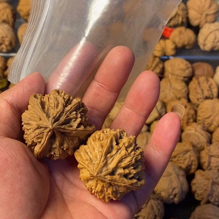 土***坝大叶紫檀（黑酸枝木类）