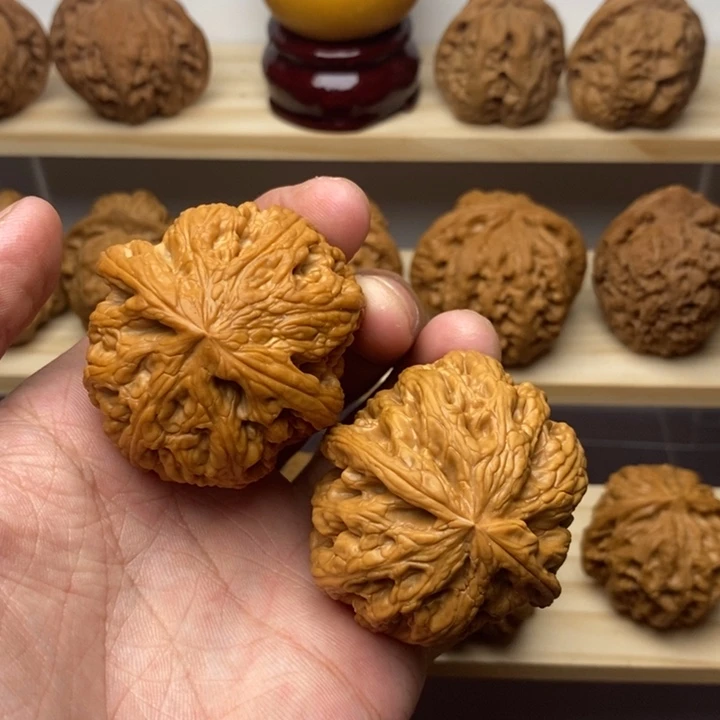 把件核桃44尺大粗筋一物一图