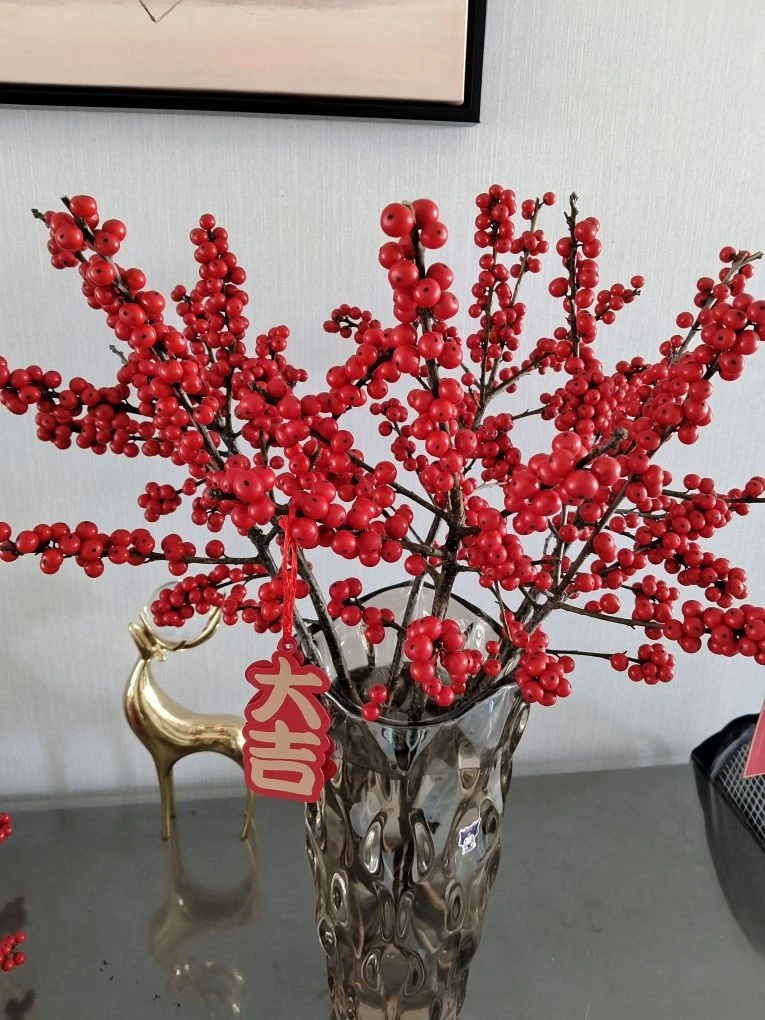 【植物旅行专属】北美冬青鲜切花基地直发顺丰包邮