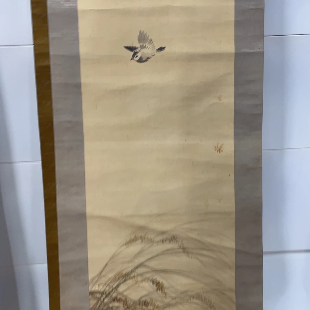 艾***迪精品剪纸作品欣赏