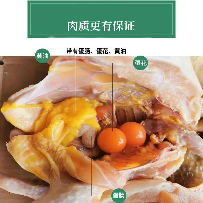黄油黑脚老母鸡农家散养（带蛋花、黄油、蛋肠、胗）