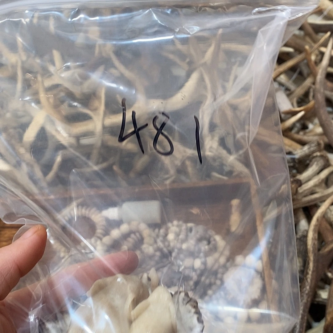 岁***好非金属鹿角鹿角鹿角