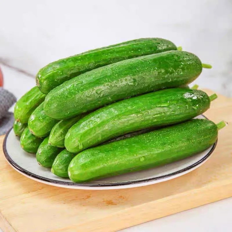 有机水果黄瓜 有机认证 无农残新鲜蔬菜 辅食沙拉吃黄瓜
