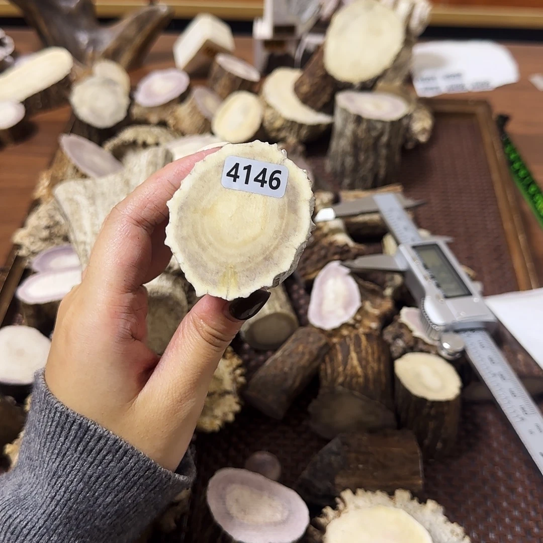 鹿骨手串/手链4146段