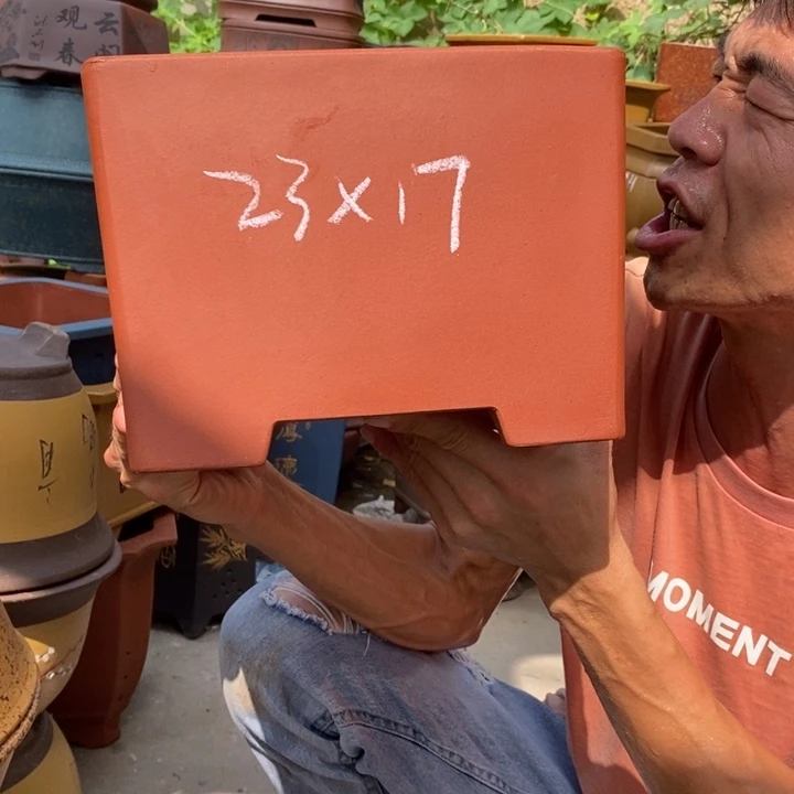 紫砂紫砂紫砂紫砂