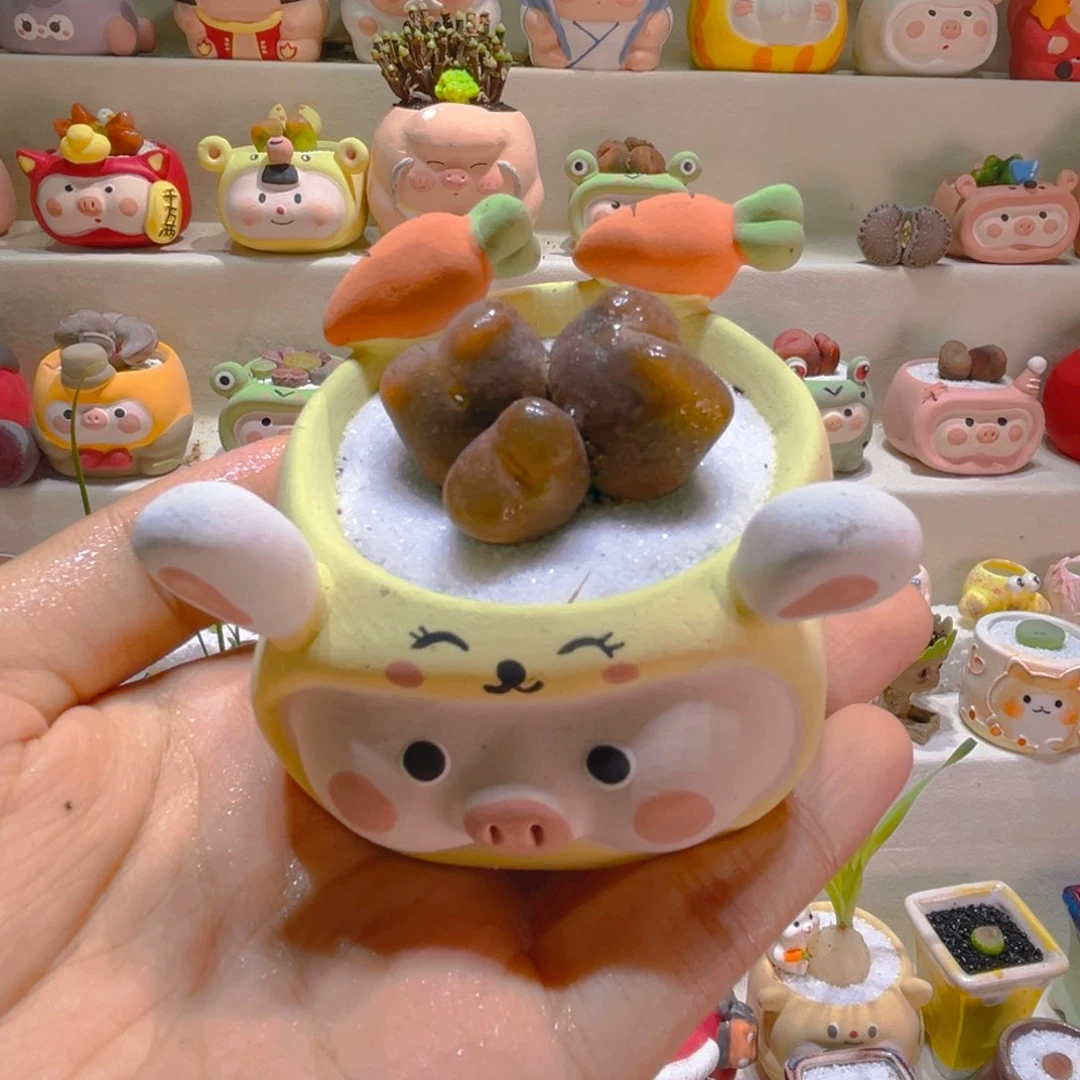 083高端多肉带盆带土手工盆