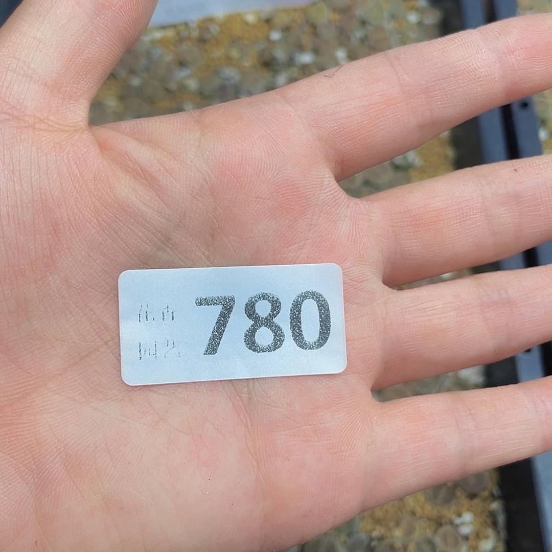 780000008花花花花花花