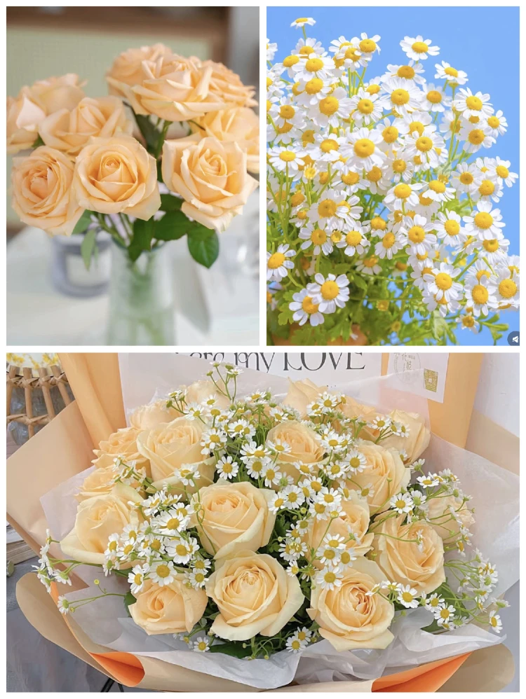 【鲜花组合】10支香槟+10支洋甘菊