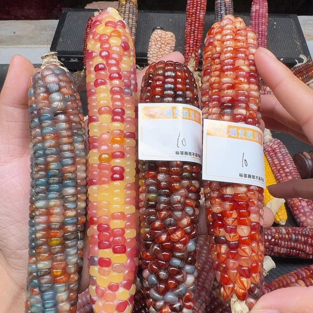 不***遇吊坠柏香籽/百香籽