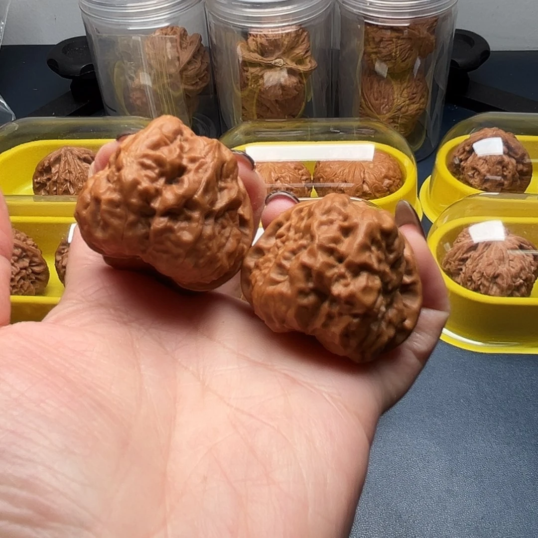 核桃40尺寸蛤蟆头