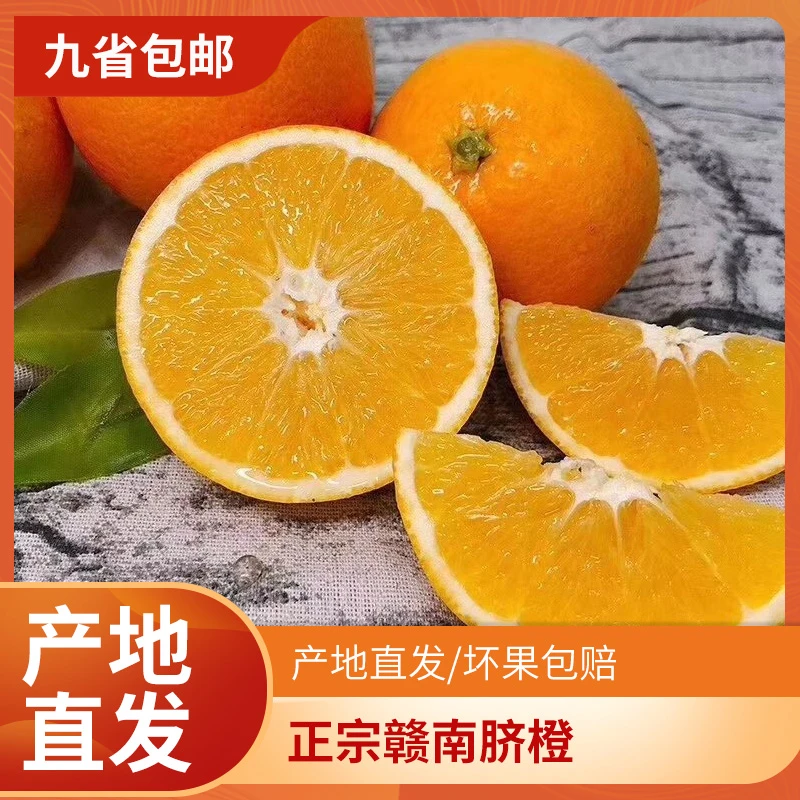 江西赣南脐橙新鲜水果当季整箱5斤10斤20斤自家果农种植现摘现发