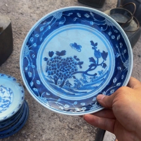 杂色豆（科檀/科特迪瓦檀木）?****?