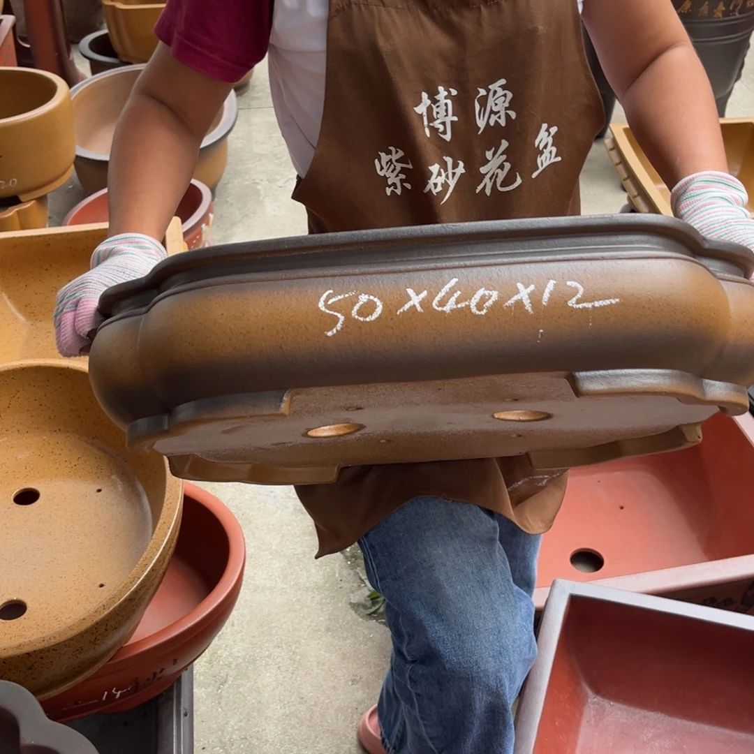 花盆紫砂盆景艺术