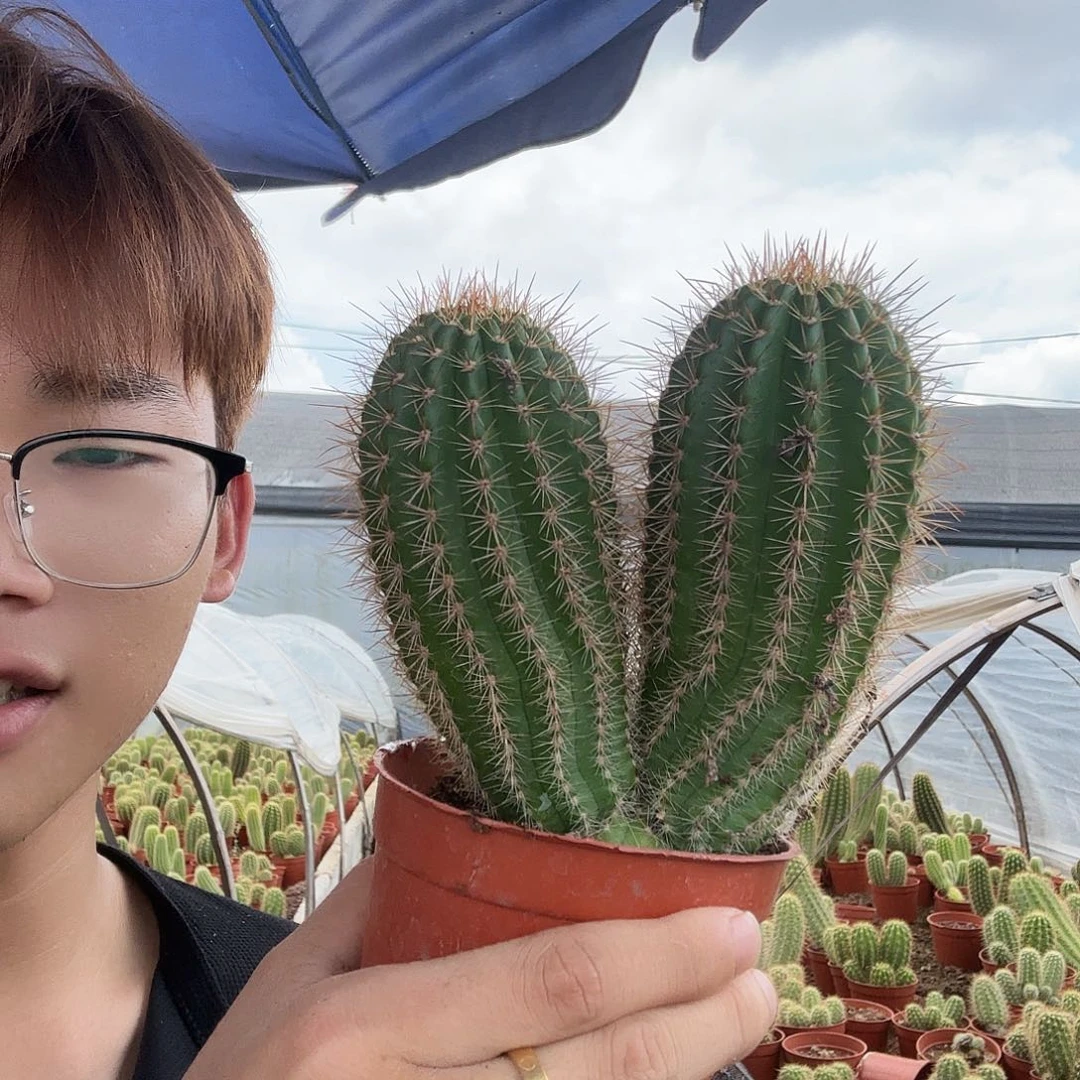 薇***薇无花朵大满贯哈哈哈哈哈哈哈哈