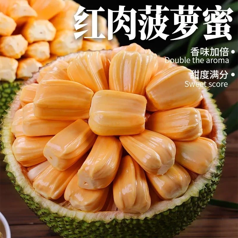 泰8红肉菠萝蜜新鲜香甜当季热带菠萝蜜一整个批发红肉菠萝蜜