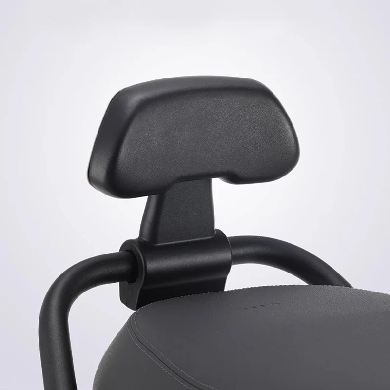 九号电动车后靠背FzMix/M85CM95C/N70CN85C/F90ME100/NzMix通用