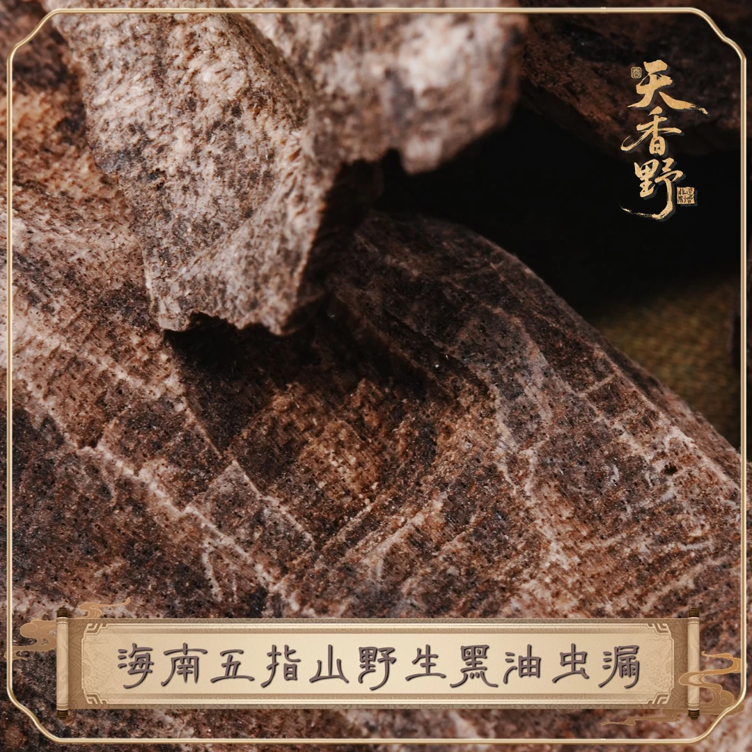 【天香野】海南五指山野生黑油虫漏 10g  沉香原料