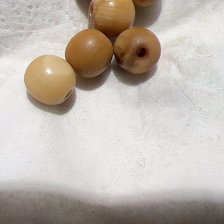 香榧木你的时候你是