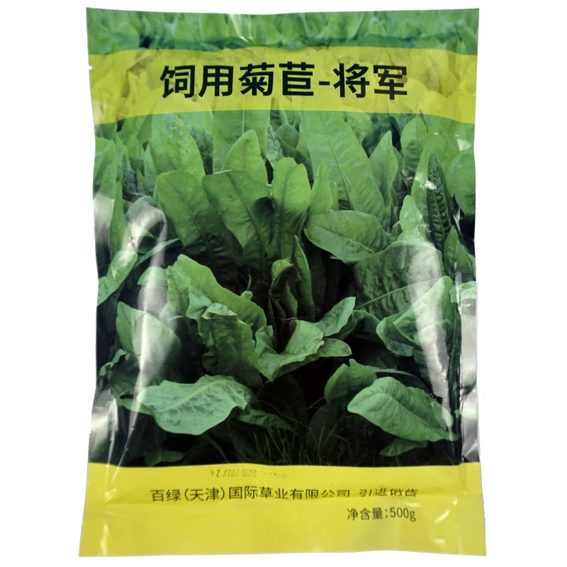 将军菊苣种子多年生阔叶四季耐寒猪鸡鸭鹅鱼兔喜食牧草种籽