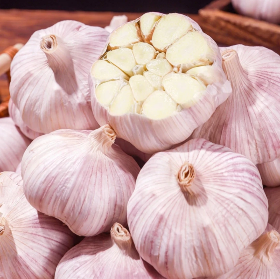（精品大蒜头）25年农家自种晒干新蒜紫白皮可吃可留种 5斤装