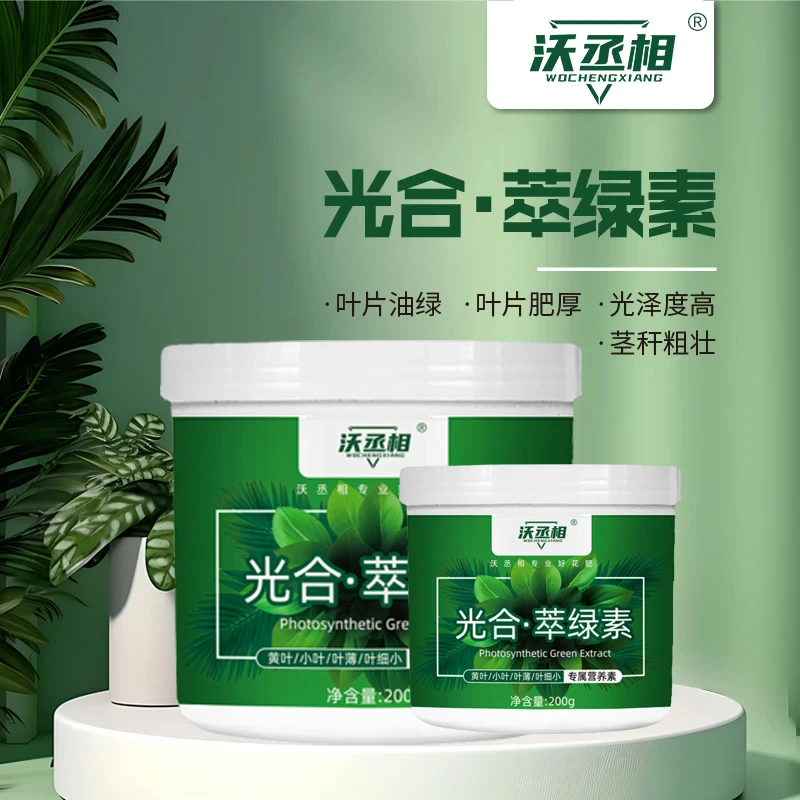 沃丞相光合萃绿素花卉绿植通用发财树幸福树金钱树叶片油绿分枝多