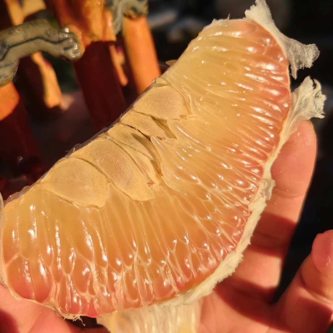 泰国大金柚翡翠青柚升级版高甜柚子现货发售