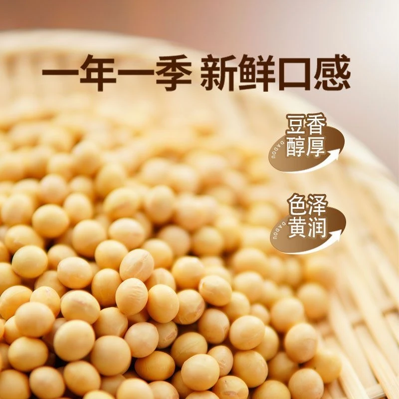 24年新黄豆东北黑龙江发豆芽的黄豆豆浆原料豆芽农家黄豆