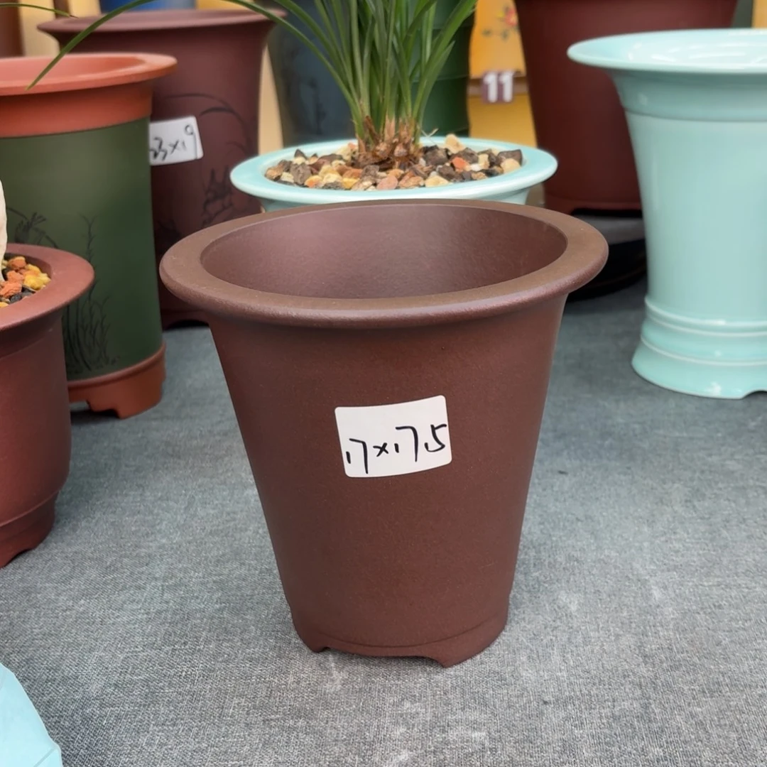 紫砂花盆兰花158962598855888