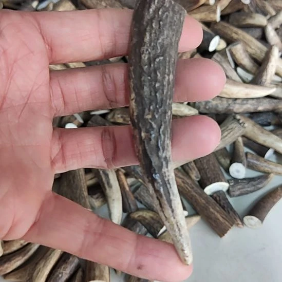 纯铜石英石原皮原色鹿角尖