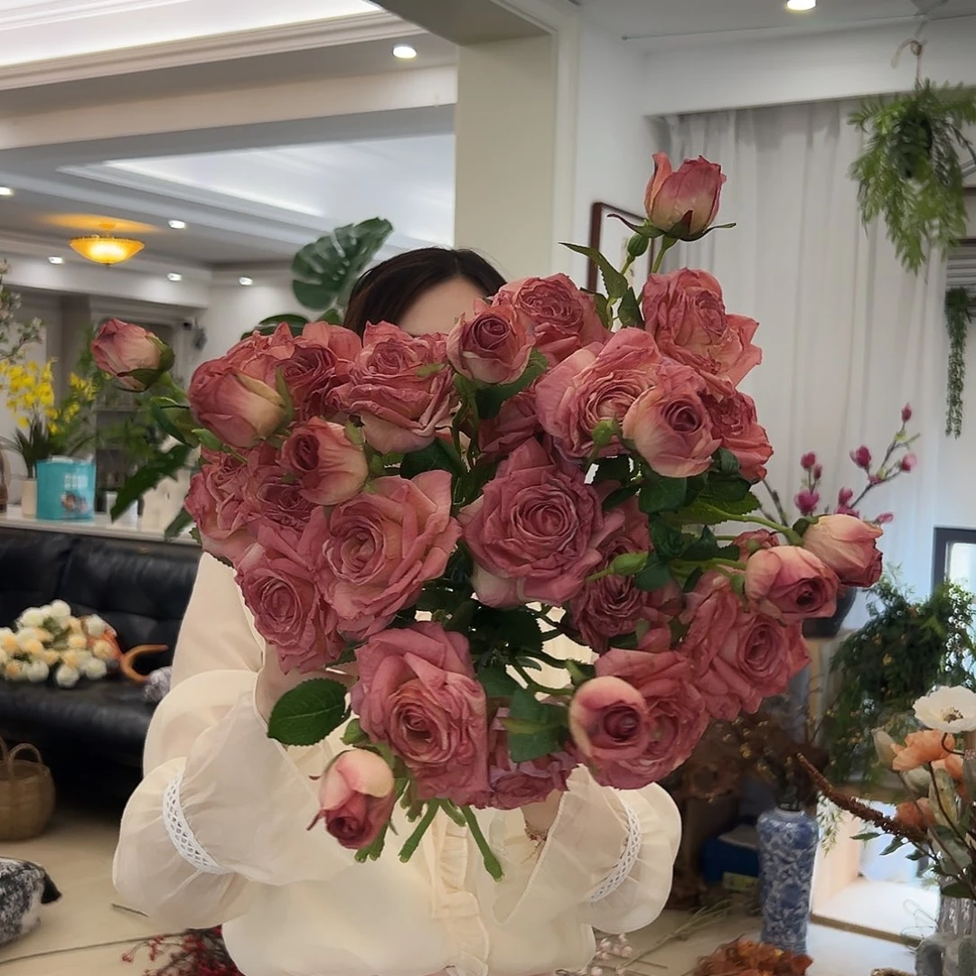 拍样品玫瑰花福利